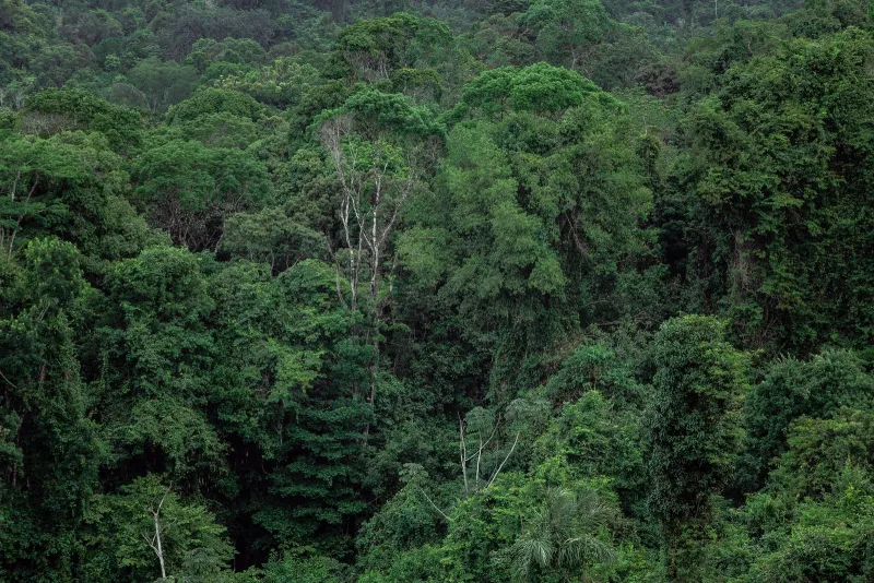 Photo de Parc national du Banco, Parcs et nature à Attécoubé, Abidjan.
