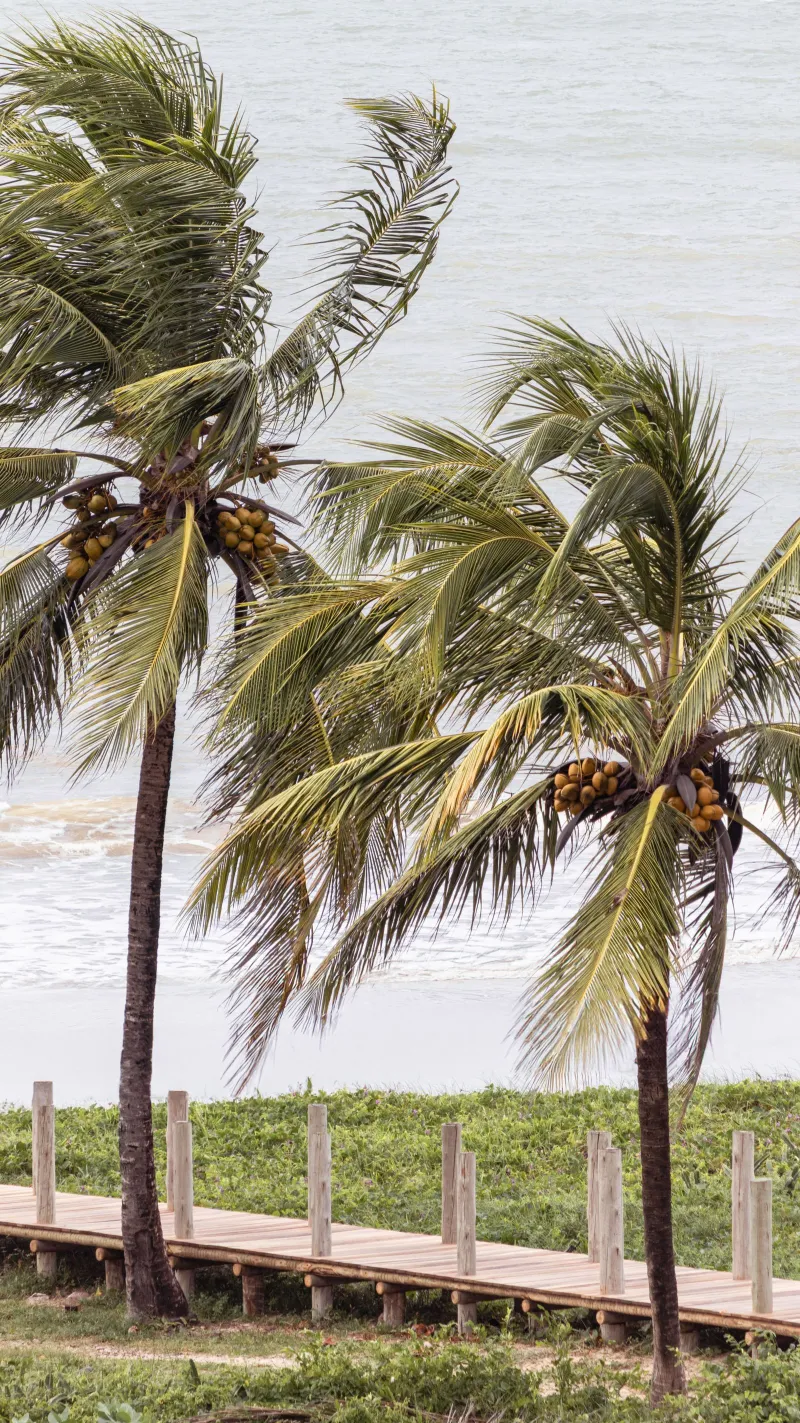 Photo de Plage de Vridi, Plages et lagune à Port-Bouët, Abidjan.